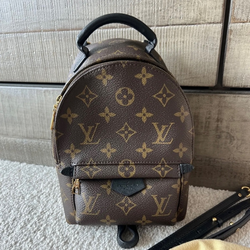 Authentic Louis Vuitton Palm Springs Mini